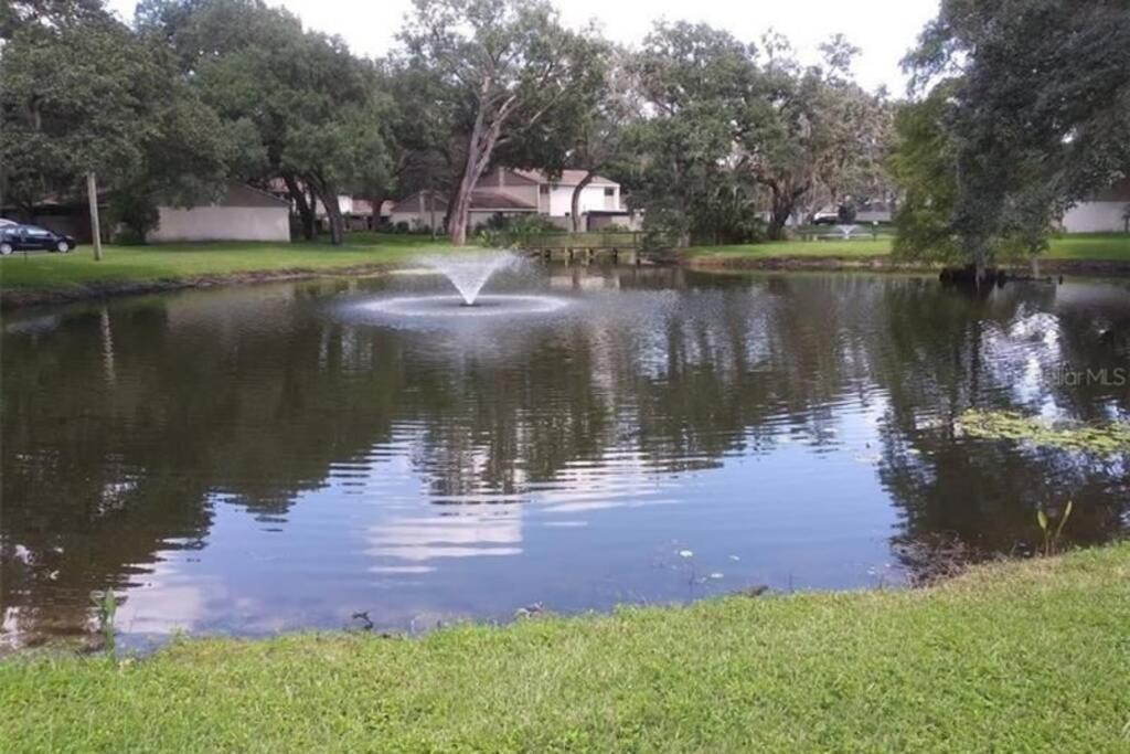 Cozy 3 Bed 2.5 Bath Located Near Busch Gardens Appartamento Tampa Esterno foto