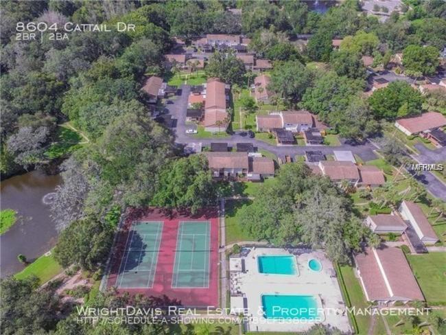 Cozy 3 Bed 2.5 Bath Located Near Busch Gardens Appartamento Tampa Esterno foto